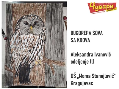 DUGOREPA SOVA SA KROVA - Aleksandra Ivanović, odeljenje ll1, OŠ „Moma Stanojlović“, Kragujevac
