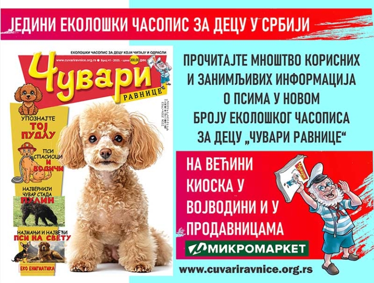 media/k2/items/cache/b190b9bcae39ee6b68c160e3e6f45456_L.jpg