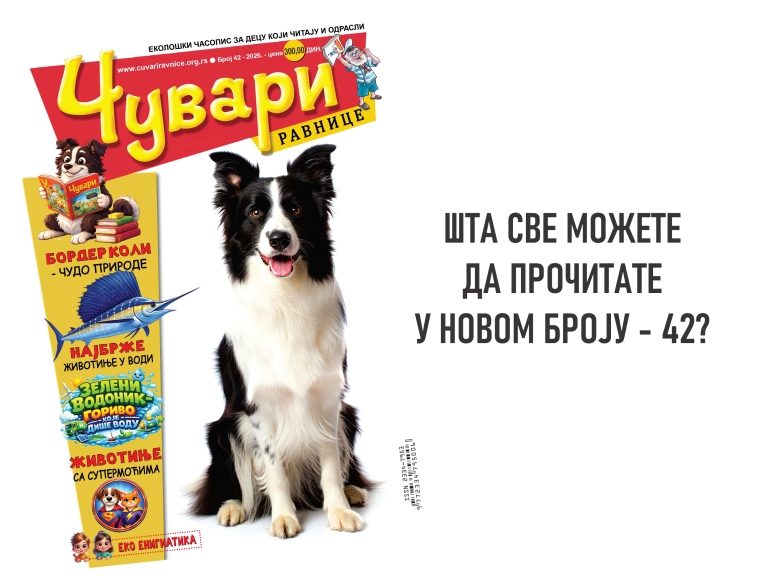 media/k2/items/cache/daf2bbcc481f0cf083f5d1524716cf65_L.jpg